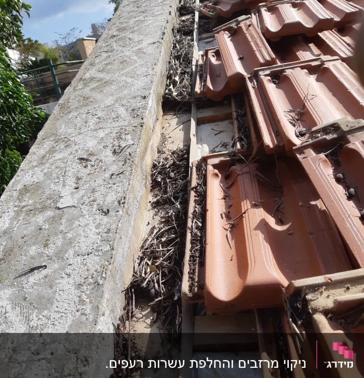 רעפים חומים על גג עם עלים יבשים